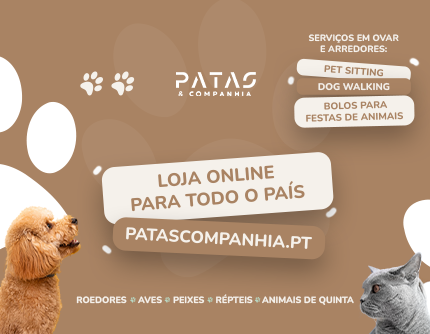 Banner Site