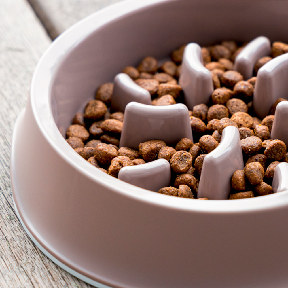 Taça Slow Feed de Plástico para Cães - Castanho