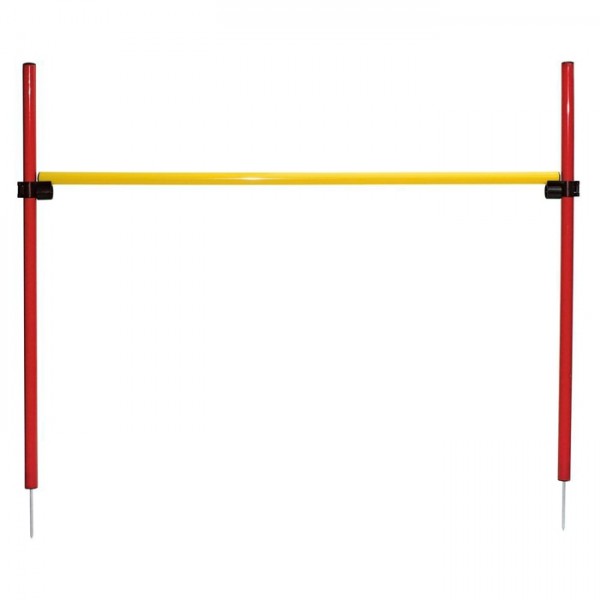 Conjunto de agilidade para cão