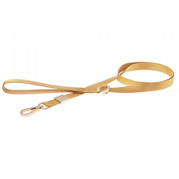 Trela Mida Amarela Para Cães