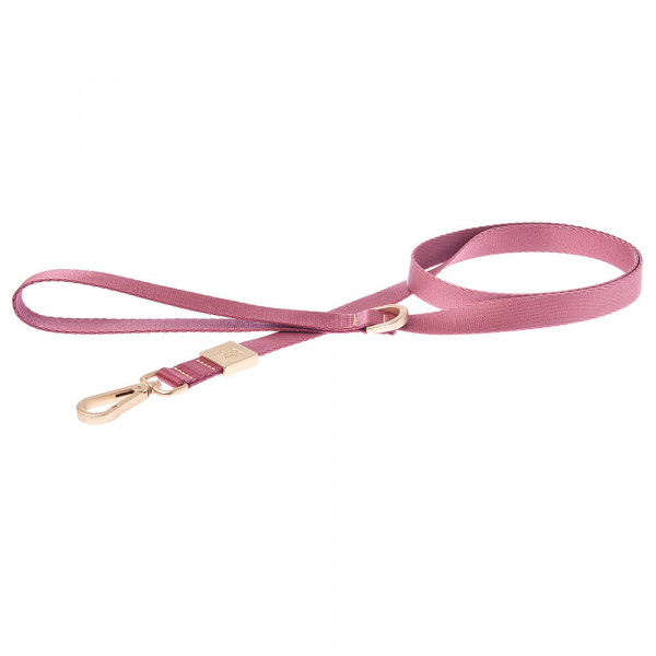 Trela Mida Rosa Para Cães