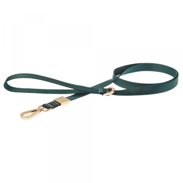 Trela Mida Verde Para Cães