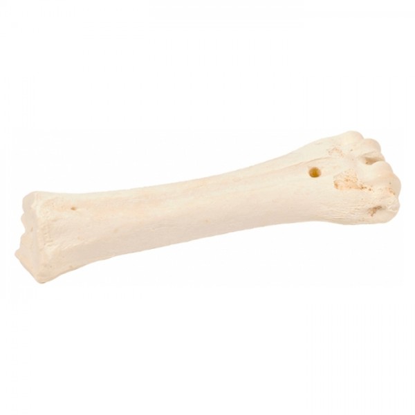Bones! Osso Com Cálcio
