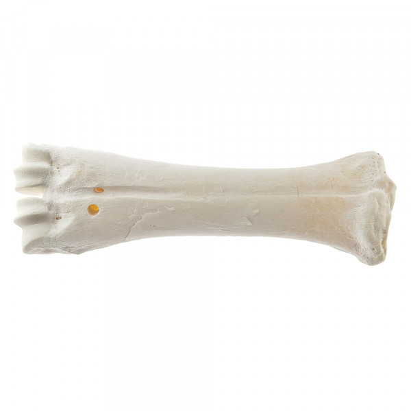 Osso De Cálcio Para Cão