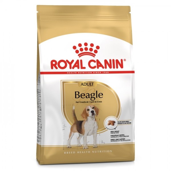 Royal Canin Beagle Cão Adulto