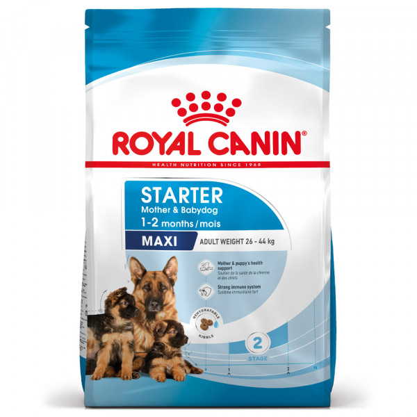 Royal Canin Cão Maxi Starter Mother & Babydoog