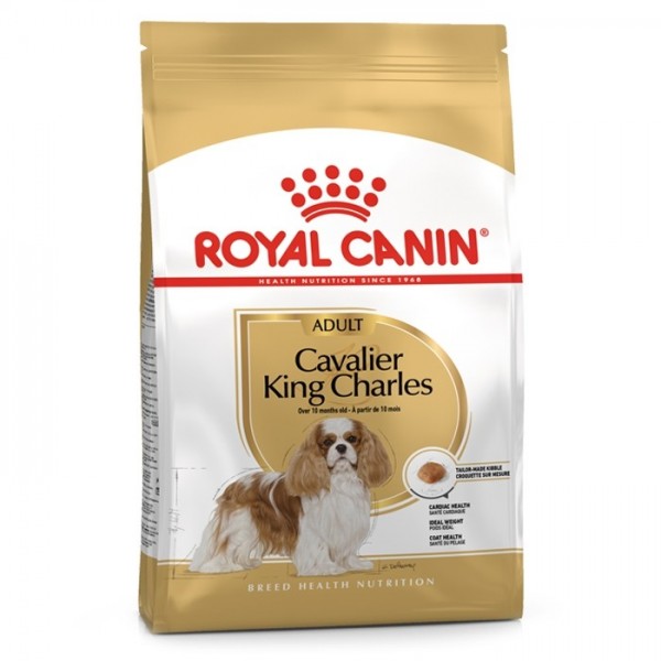 Royal Canin Cavalier King Charles Cão Adulto