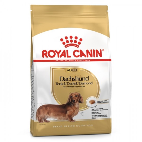 Royal Canin Dachshund Cão Adulto
