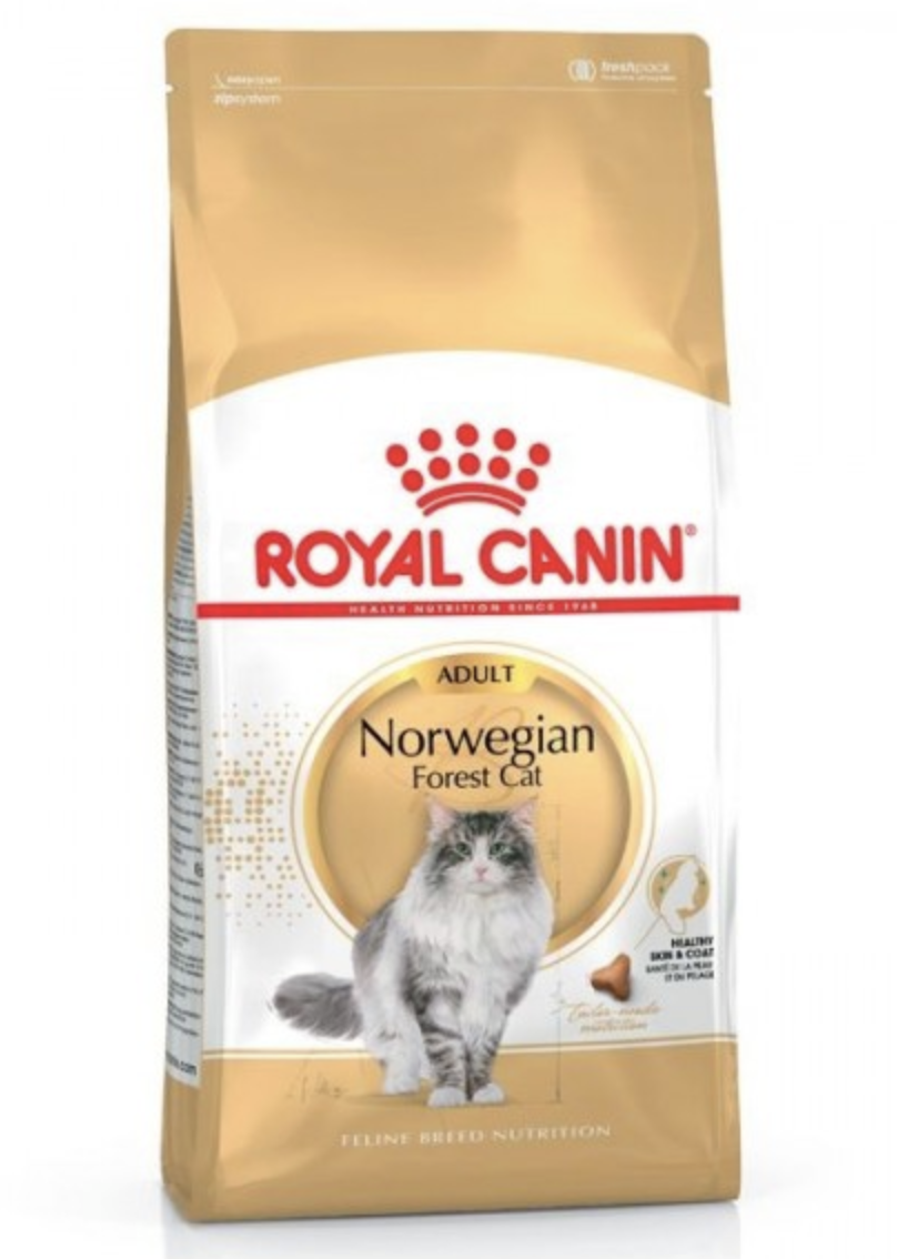 Ração Para Gato Royal Canin Norwegian Forest