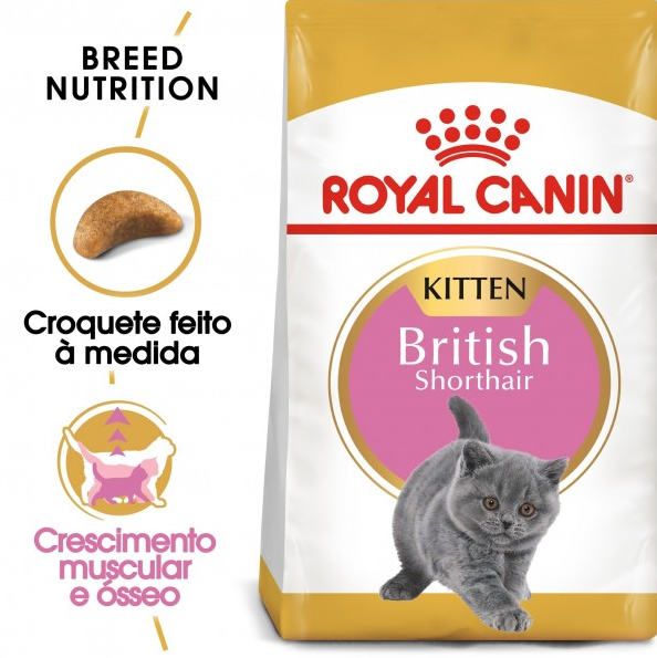 Royal Canin British Shorthair Gato Kitten