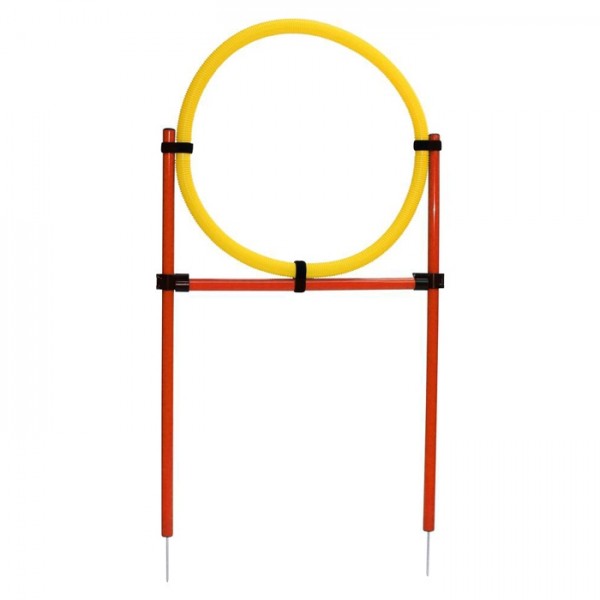 Conjunto de agilidade para cão