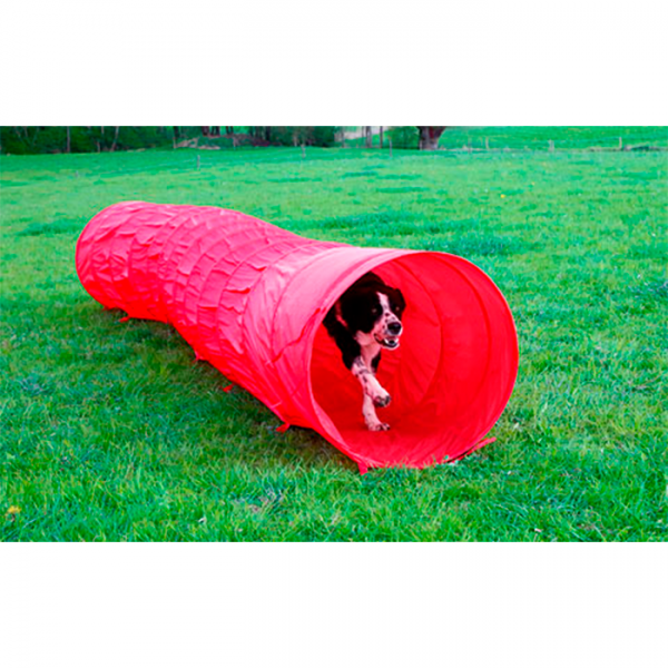 Túnel de Agilidade para cão