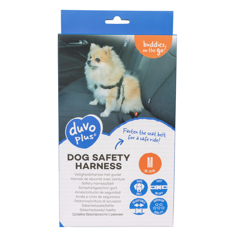 Peitoral e cinto de segurança para cão