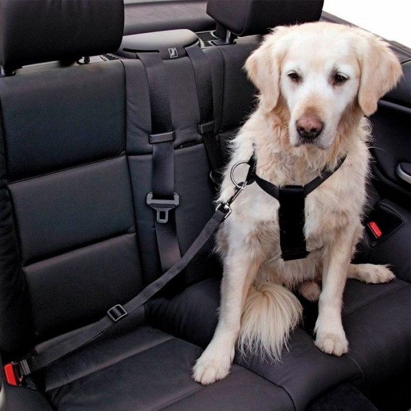 Cinto de Segurança para Cão