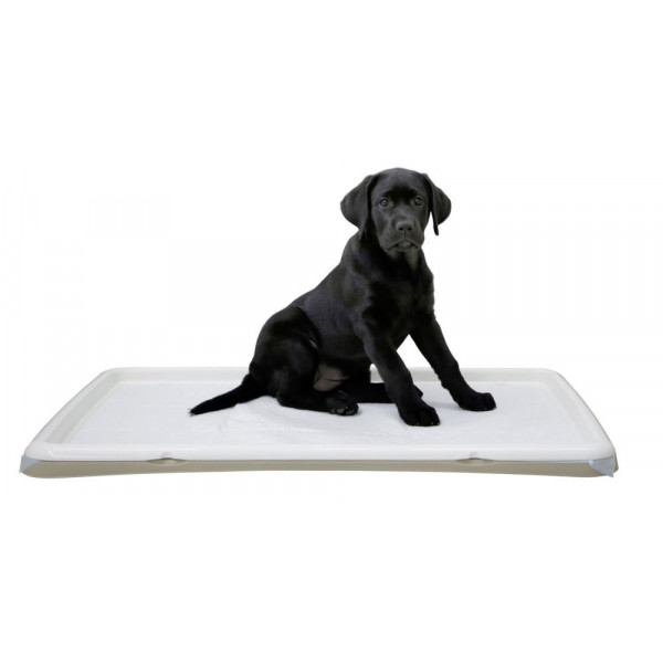 Tabuleiro/WC de aprendizagem XL