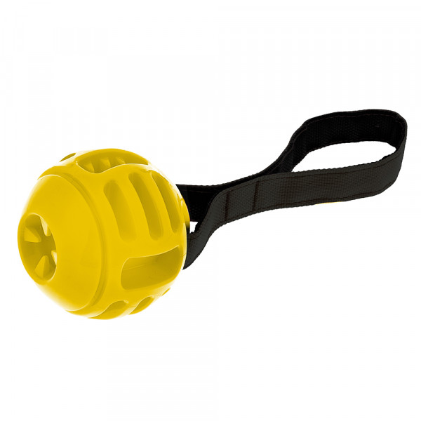 Bola Lancio com Som para Cães