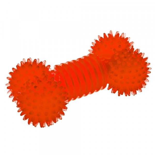 Osso Mordedor com Som para Cão