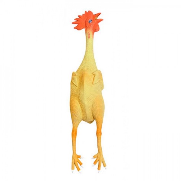 Galinha em látex