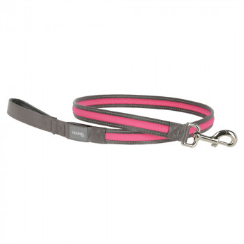 Trela Luminosa Light & Reflex Para Cão