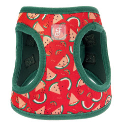 Peitoral Confortável Motif Com Padrão Melancia Para Cão