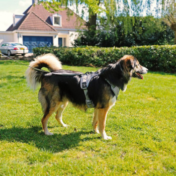 Peitoral Explor Ultimate Fit Anti-Puxão Para Cães