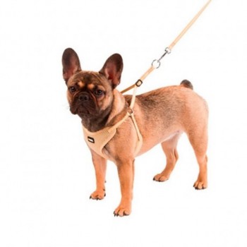 Peitoral Com Trela Para Cachorros