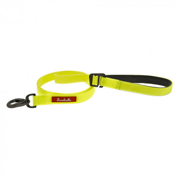 Trela De Treino Para Cães