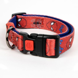 Coleira Spider Man Para Cão