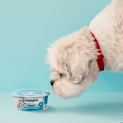 Yogupet - Iogurte Funcional Helppet Para Cão