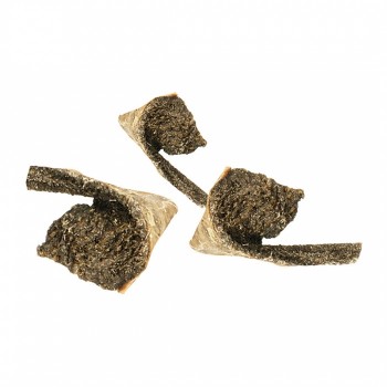Tripa Seca