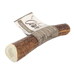 Chifre Natural De Veado Para Cães