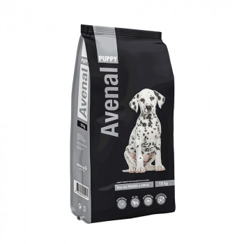 Avenal - Cão Puppy