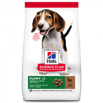 Hill'S Puppy Medium - Ração Seca Para Cachorro De Porte Médio - Cordeiro