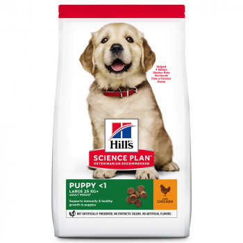 Hill'S Puppy Large - Ração Seca Para Cachorro De Porte Grande - Frango