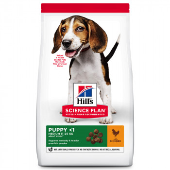 Hill'S Puppy Medium - Ração Seca Para Cachorro De Porte Médio - Frango