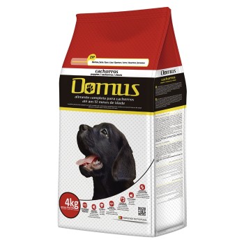 Domus Cão Puppy