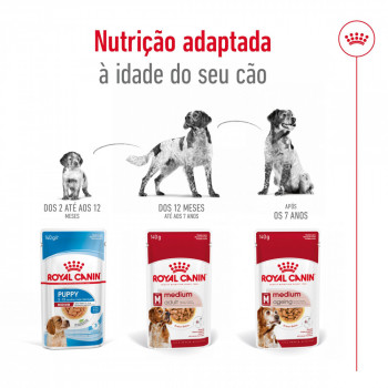 Royal Canin Medium Cão Adulto - Em Molho