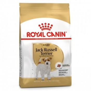 Royal Canin Jack Russell Terrier Cão Adulto