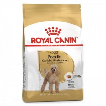 Royal Canin Poodle Cão Adulto
