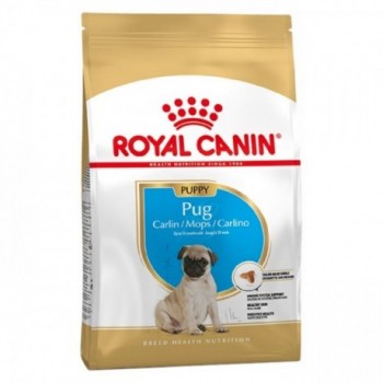 Royal Canin Pug Cão Puppy