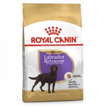 Royal Canin Labrador Retriever Esterilizado Cão Adulto