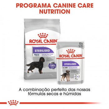 Royal Canin Sterilised Cão Maxi Adulto