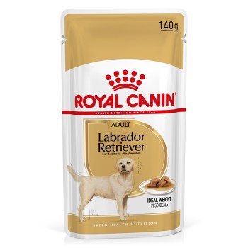 Royal Canin Labrador Retriever Cão Adulto - Em Molho