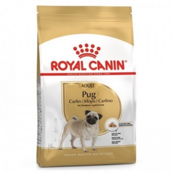 Royal Canin Pug Cão Adulto