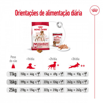 Royal Canin Medium Cão Adulto