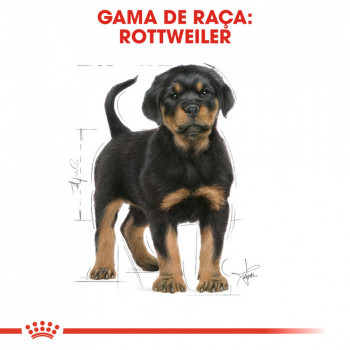 Royal Canin Rottweiler Puppy - Ração Seca Para Cachorro De Raça