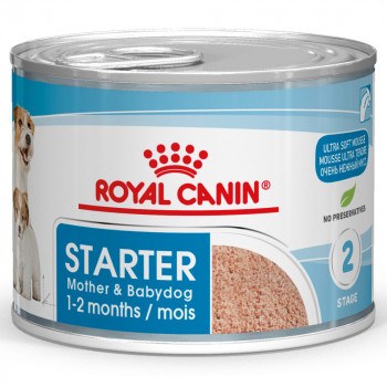 Royal Canin Mother & Babydog Starter Em Mousse