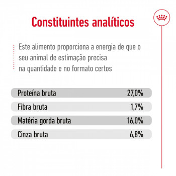 Royal Canin Mini Cão Adulto