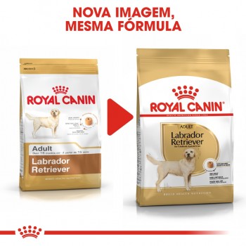 Royal Canin Labrador Retriever Cão Adulto