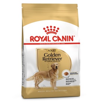 Royal Canin Golden Retriever Cão Adulto